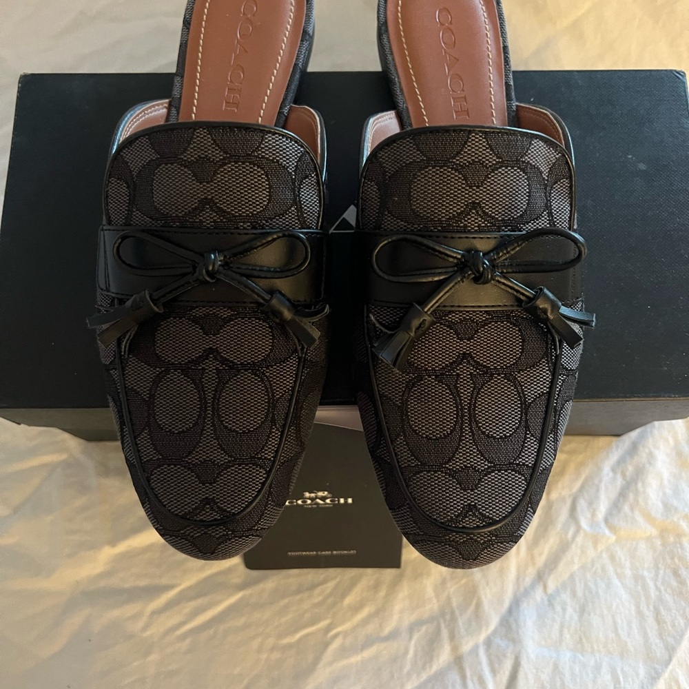 Coach slides